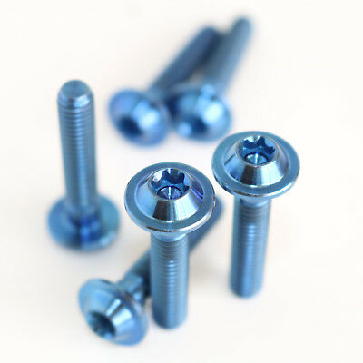 Titanium screws